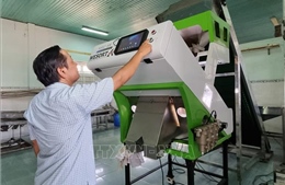 Ninh Thuận thúc đẩy phát triển công nghiệp nông thôn