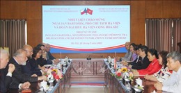 Thúc đẩy phát triển quan hệ hữu nghị và hợp tác Việt Nam - Séc