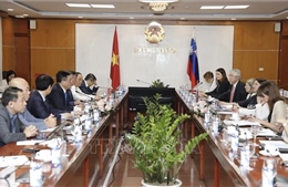 Việt Nam - Slovenia: Nhiều tiềm năng và triển vọng hợp tác thương mại