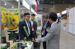 Doanh nghiệp Việt Nam khẳng định vị thế tại Triển lãm Thực phẩm lớn nhất Hàn Quốc