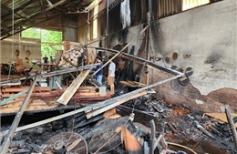 Kịp thời khống chế vụ cháy tại xưởng gỗ