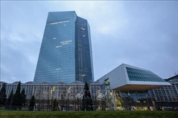 ECB nâng lãi suất lên mức cao nhất trong 22 năm