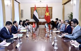 Nâng cao hơn nữa hiệu quả hợp tác Việt Nam - UAE