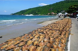 Kiên Giang giữ thương hiệu cho sản phẩm cá khô  