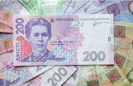 Dự trữ ngoại hối của Ukraine đạt mức kỷ lục