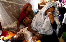 Bangladesh ghi nhận số ca sốt xuất huyết cao kỷ lục