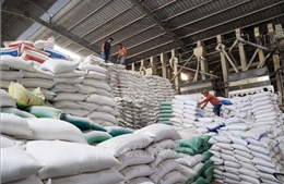 Từ lệnh cấm xuất khẩu gạo của Ấn Độ, Nga, UAE: Điều tiết hợp lý thu mua, xuất khẩu gạo