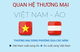 Quan hệ thương mại Việt Nam - Áo