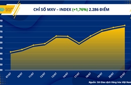 Chỉ số hàng hóa MXV-Index lên mức cao nhất 3 tháng