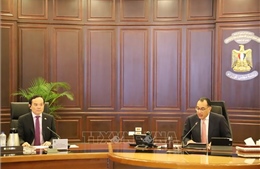 Phó Thủ tướng Trần Lưu Quang hội đàm với Thủ tướng Ai Cập Mostafa Madbouly