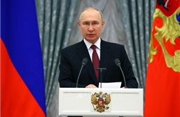 Tổng thống Nga tái khẳng định cam kết cung cấp ngũ cốc cho châu Phi