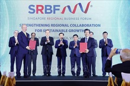 Thúc đẩy quan hệ Đối tác chiến lược Việt Nam - Singapore thực chất, hiệu quả