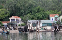 Nghệ An: Nhiều ngư dân &#39;trắng tay&#39; sau hỏa hoạn ở cảng cá Lạch Quèn
