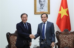 Phó Thủ tướng Trần Lưu Quang tiếp Phó Chủ tịch điều hành cấp cao JICA
