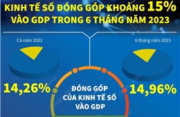Kinh tế số đóng góp khoảng 15% vào GDP trong 6 tháng năm 2023