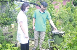 Xuất hiện nhiều ổ dịch sốt xuất huyết tại Ninh Bình