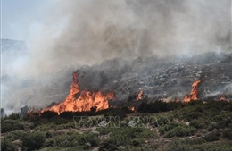 Hy Lạp phát hiện 19 thi thể người di cư trong các đám cháy rừng