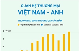 Quan hệ thương mại Việt Nam - Anh