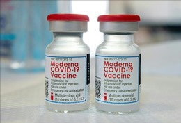 Canada phê duyệt vaccine cập nhật ngừa COVID-19 của Moderna 