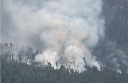 Tây Ban Nha huy động quân đội tham gia dập lửa cháy rừng
