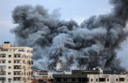 Lãnh đạo Ai Cập và Palestine thảo luận về cuộc xung đột tại Dải Gaza