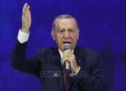 Thổ Nhĩ Kỳ tăng cường nỗ lực ngoại giao để chấm dứt xung đột Israel - Palestine 
