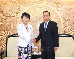 Đưa quan hệ Việt Nam - Nhật Bản phát triển lên tầm cao mới, ổn định, bền vững lâu dài
