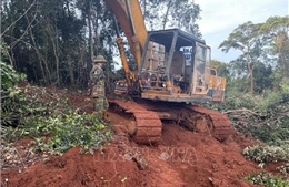 Đắk Nông: Bắt quả tang đối tượng dùng máy múc phá rừng