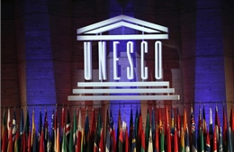 Quốc tế đánh giá cao vai trò và đóng góp của Việt Nam vào hoạt động của UNESCO