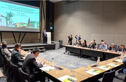 Thúc đẩy hợp tác du lịch giữa tỉnh Lâm Đồng với Singapore