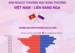 Kim ngạch thương mại song phương Việt Nam - Liên bang Nga
