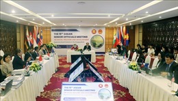 Cuộc họp SOMSWD: Trao đổi về chính sách an sinh xã hội trong khu vực ASEAN