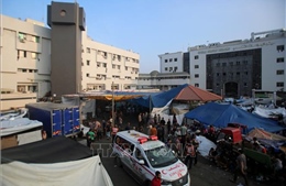 Giao tranh tiếp tục nổ ra quanh bệnh viện Al-Shifa