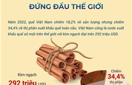 Việt Nam xuất khẩu quế đứng đầu thế giới