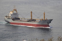 Nhiều tàu hàng gặp nạn ngoài khơi Thổ Nhĩ Kỳ do thời tiết xấu