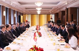 Thủ tướng Phạm Minh Chính gặp Chủ tịch Hội đồng Ngoại giao nhân dân Nhật Bản 