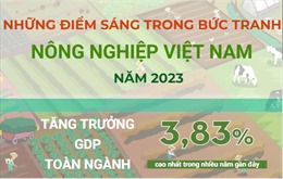 Những điểm sáng trong bức tranh nông nghiệp Việt Nam năm 2023