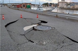 Dự báo tuần tới xảy ra động đất cực đại tại miền Trung Nhật Bản