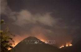 Khánh Hòa: Vụ cháy trên núi Cô Tiên gây thiệt hại khoảng 11 ha đất rừng cỏ tranh
