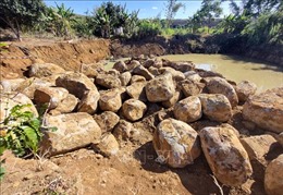 Gia Lai: Hàng trăm khối đá Bazan trong vườn nhà dân bị khai thác trái phép