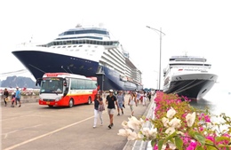 Năm 2024, Quảng Ninh sẽ đón khoảng 60 tàu biển du lịch quốc tế