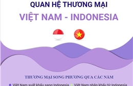 Quan hệ thương mại Việt Nam - Indonesia