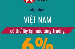 HSBC: Việt Nam có thể lấy lại mức tăng trưởng 6% trong năm 2024