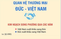 Quan hệ thương mại Việt Nam - Đức