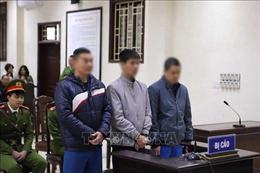 Phạt tù lãnh đạo và đăng kiểm viên tại Thái Bình nhận hối lộ