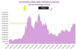 Bitcoin điều chỉnh tăng trên mốc 43.000 USD/BTC