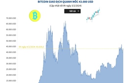 Bitcoin giao dịch quanh mốc 43.000 USD