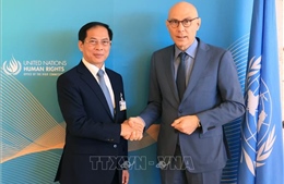 Bộ trưởng Ngoại giao Bùi Thanh Sơn gặp Cao ủy Nhân quyền LHQ 