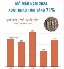 Xuất khẩu tôm Việt Nam tháng 1/2024 đạt 242 triệu USD