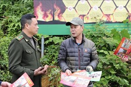 Nỗ lực phòng, chống cháy rừng tại Vườn Quốc gia Ba Vì